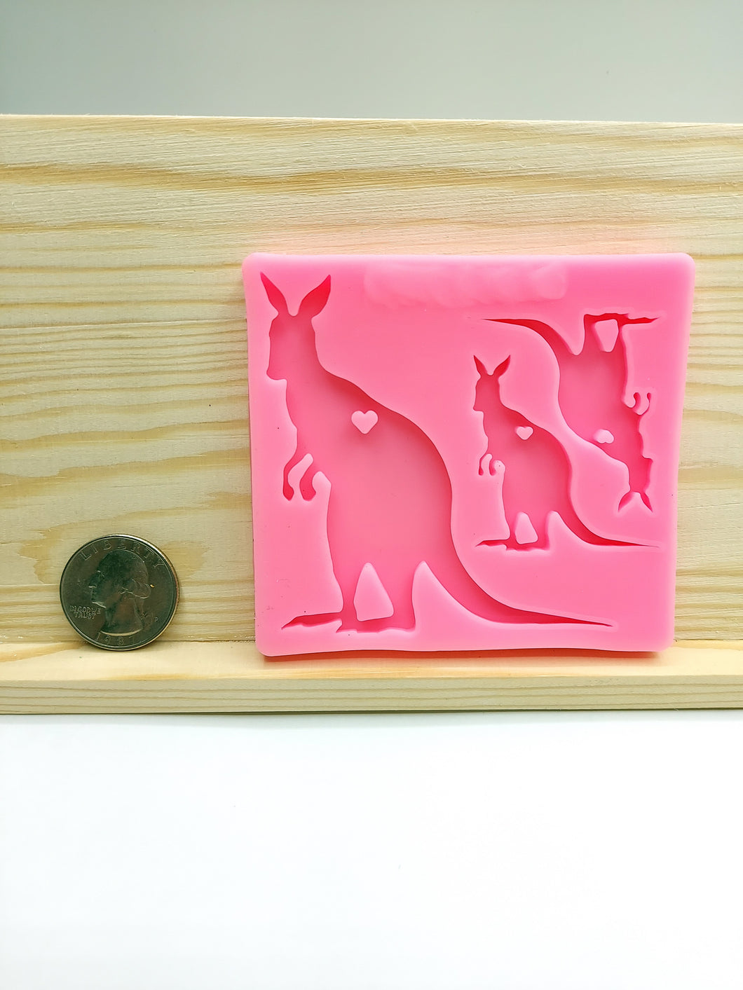 Kangaroo Family Mold